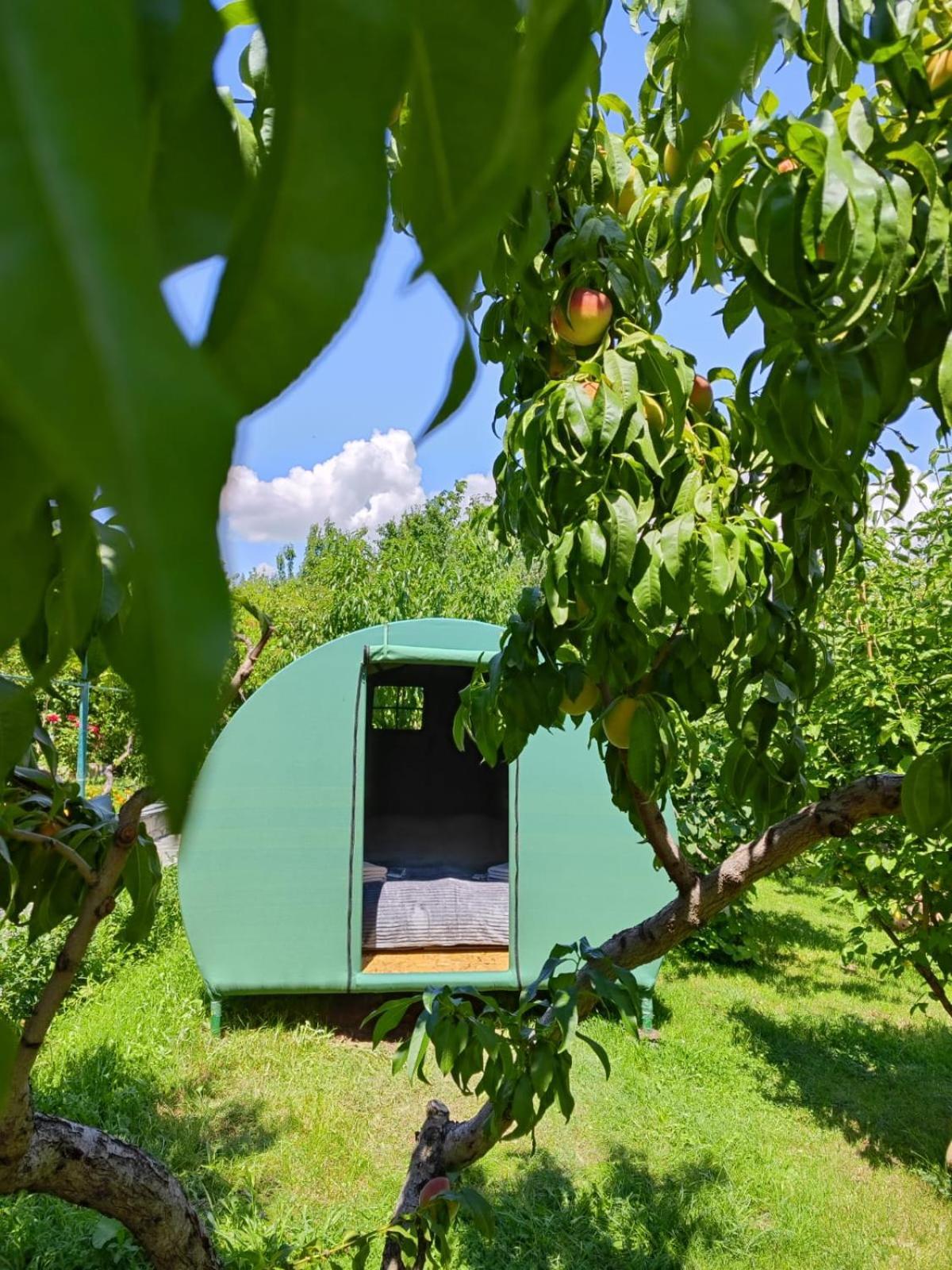 Nataly Campsite Yeghegnadzor エクステリア 写真