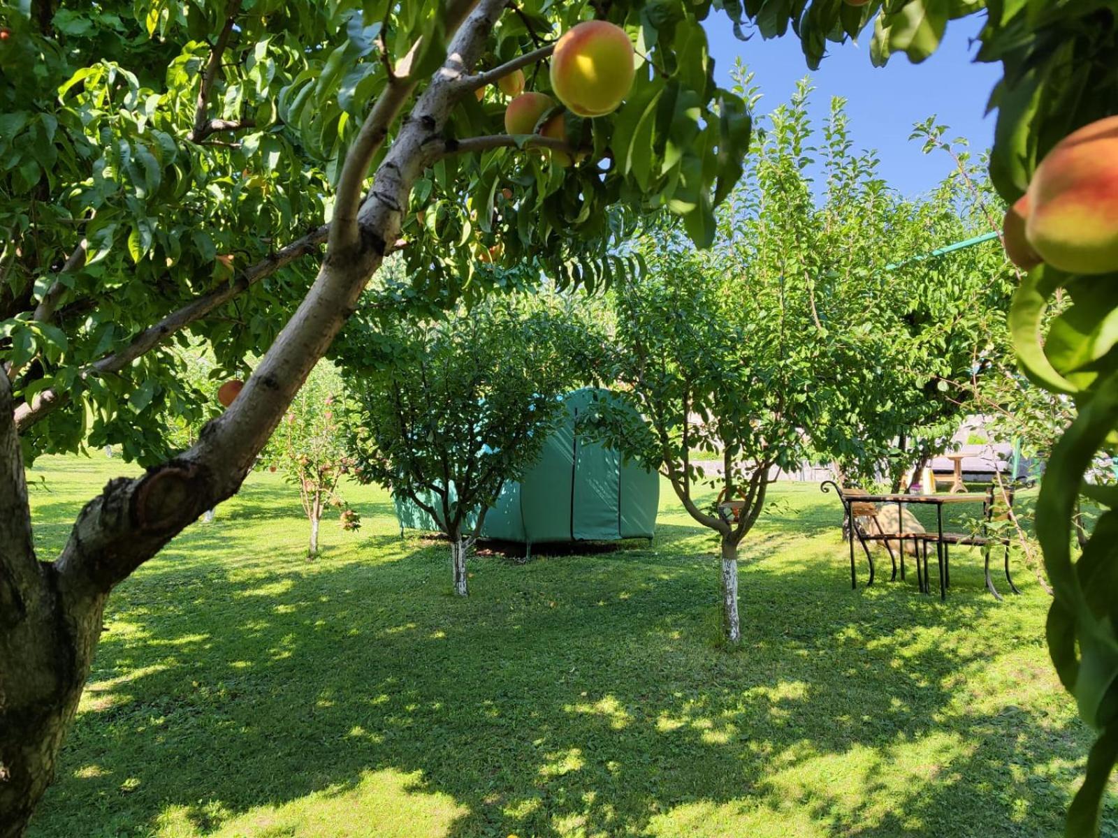 Nataly Campsite Yeghegnadzor エクステリア 写真